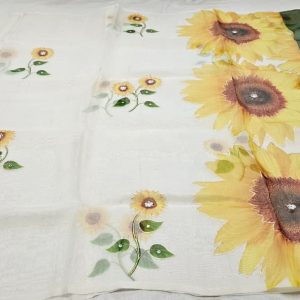 Organza Pure Off white Borderless Bhagyashree mam inspired saree