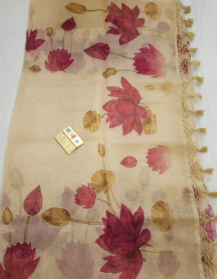 Organza ABLA Work SAREES Light Beige colour